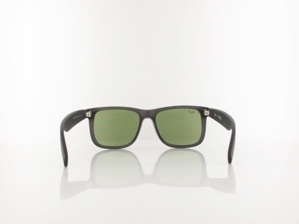 Ray Ban | JUSTIN RB4165 687382 54 | opal grey / green