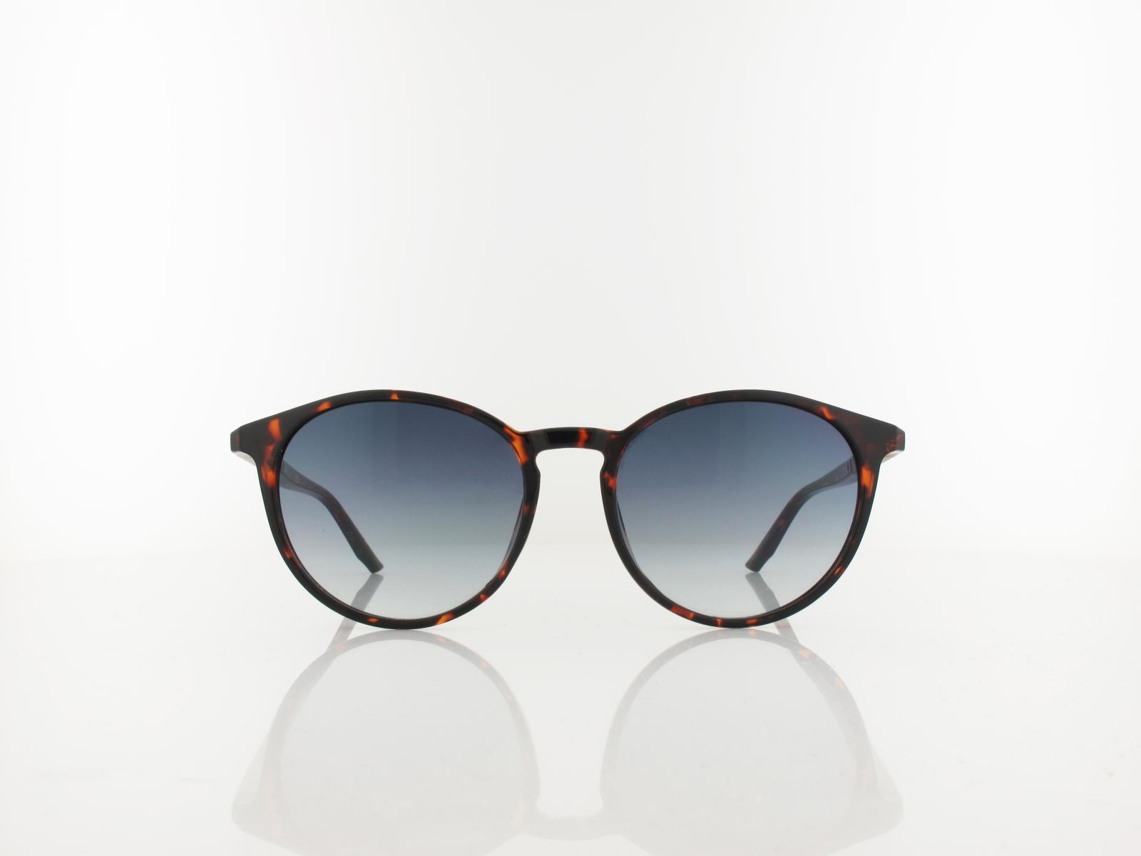 Calvin Klein | CK24539S 235 53 | dark havana / blue gradient