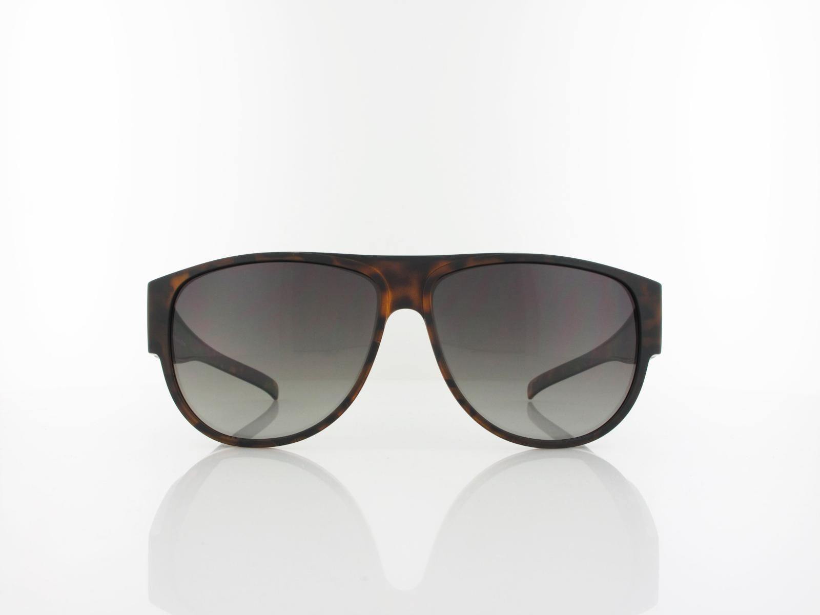 HIS polarized | HP89101-1 61 | brown / brown gradient polarized