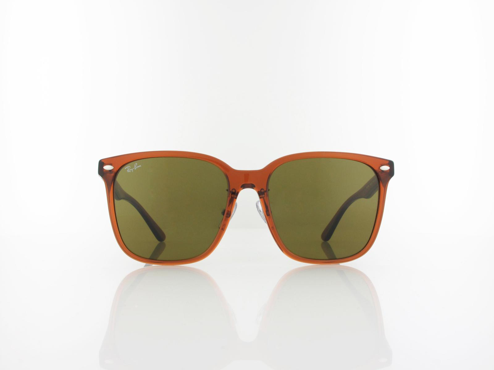 Ray Ban | RB2206D 663673 57 | transparent brown / dark brown