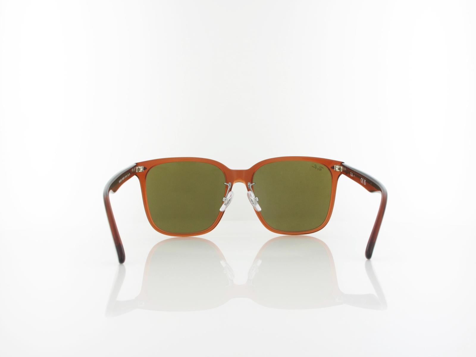 Ray Ban | RB2206D 663673 57 | transparent brown / dark brown