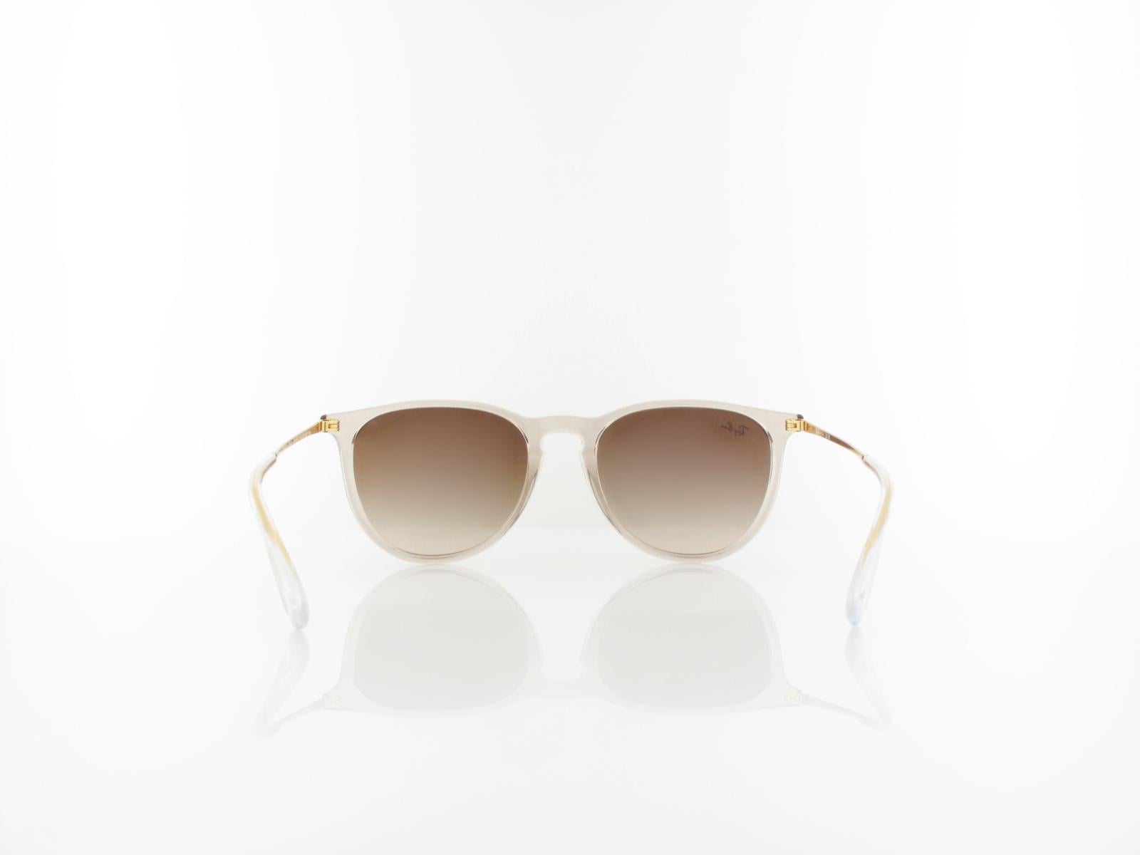 Ray Ban | ERIKA RB4171 674413 54 | transparent light brown / gradient brown