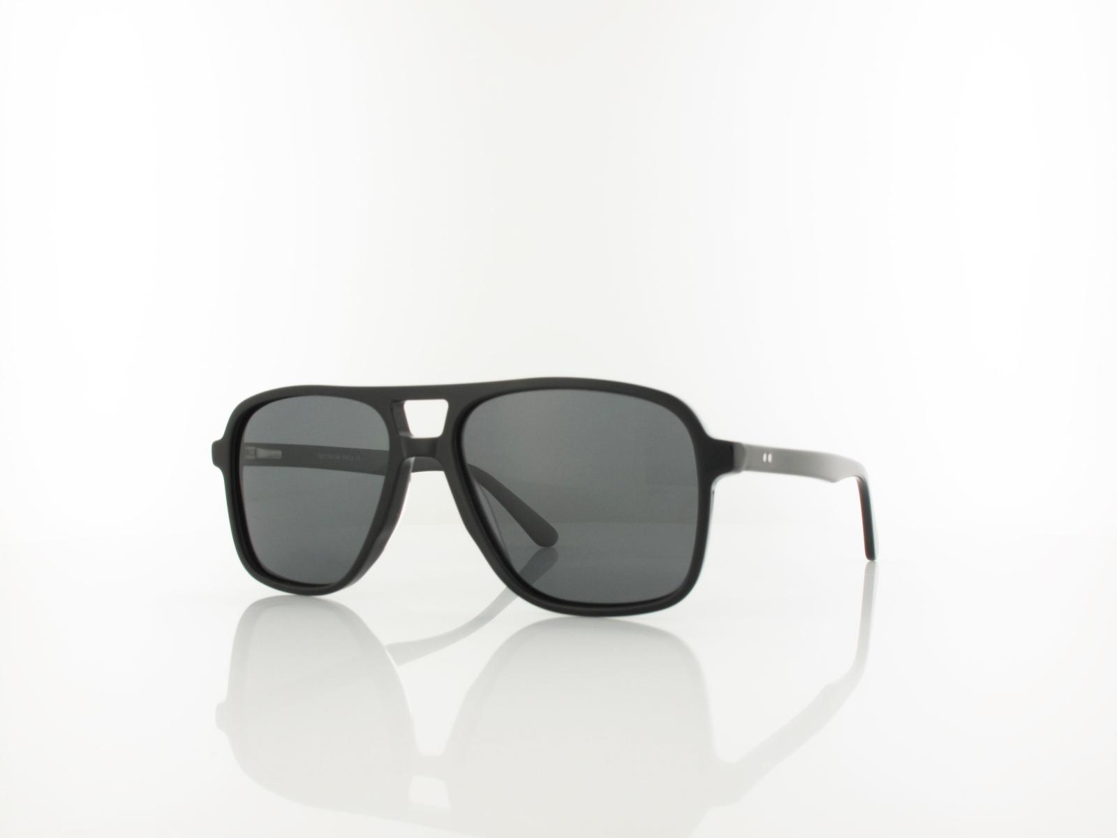 Brilando  | AC366 SS 56 | shiny black / smoke