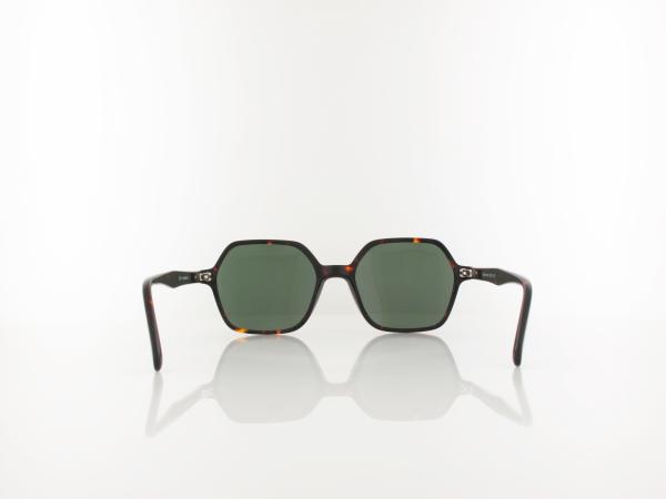 Brilando  | AC378 B-SG 52 | turtle / green polarized