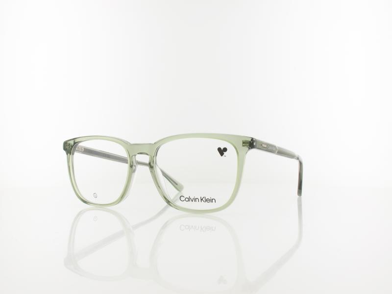 Calvin Klein | CK24519 300 53 | green