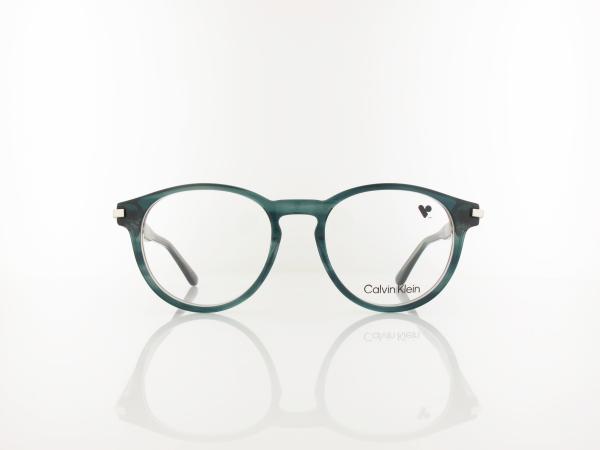 Calvin Klein | CK26513 417 52 | transparent striped blue