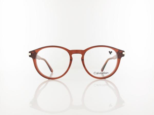 Calvin Klein | CK26513 618 52 | transparent brick