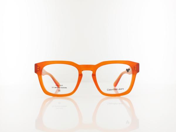 Calvin Klein | CKJ25610 201 51 | brown to havana