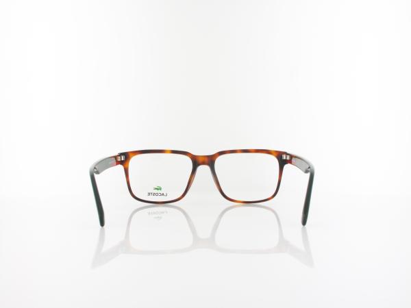 Lacoste | L2908 240 55 | tortoise