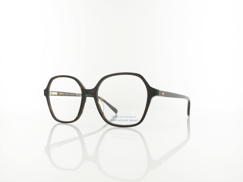 Tommy Hilfiger | TH 2293 086 52 | havana