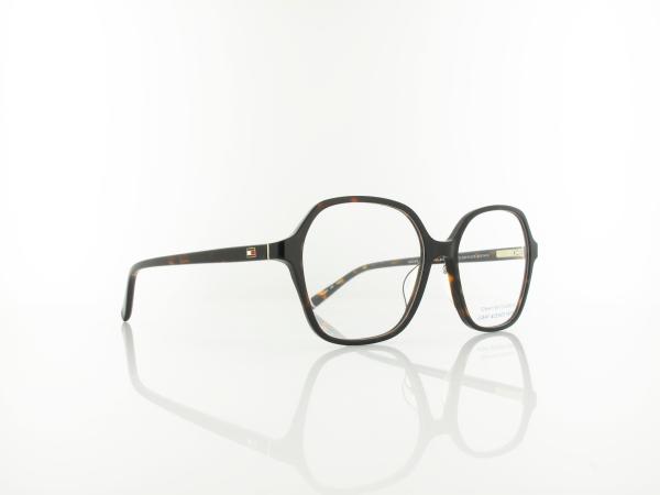 Tommy Hilfiger | TH 2293 086 52 | havana