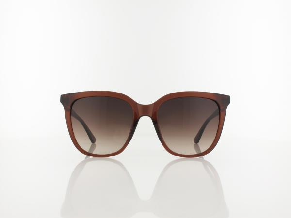 Calvin Klein | CK23506S 200 53 | brown / brown gradient