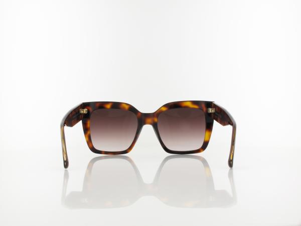 Calvin Klein | CK23508S 220 54 | brown havana / brown gradient