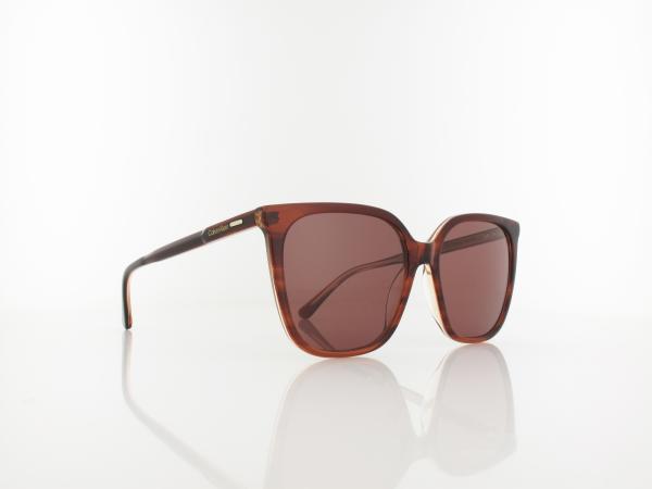 Calvin Klein | CK24509S 203 56 | striped brown/rose / brown