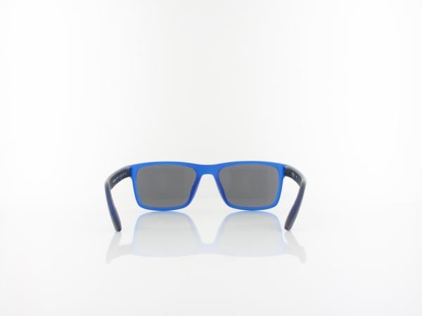 Nike | CHEER DZ7380 480 49 | matte game royal / silver mirror