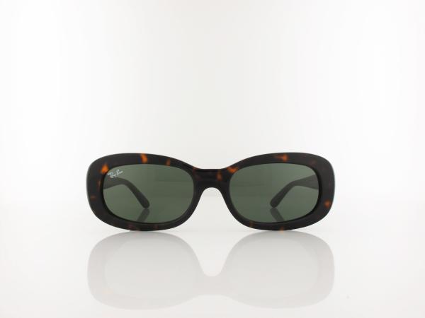 Ray Ban | RB2221 902/31 53 | havana / green