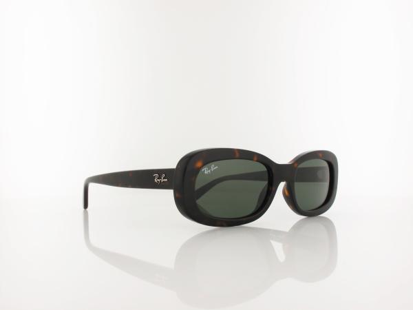 Ray Ban | RB2221 902/31 53 | havana / green