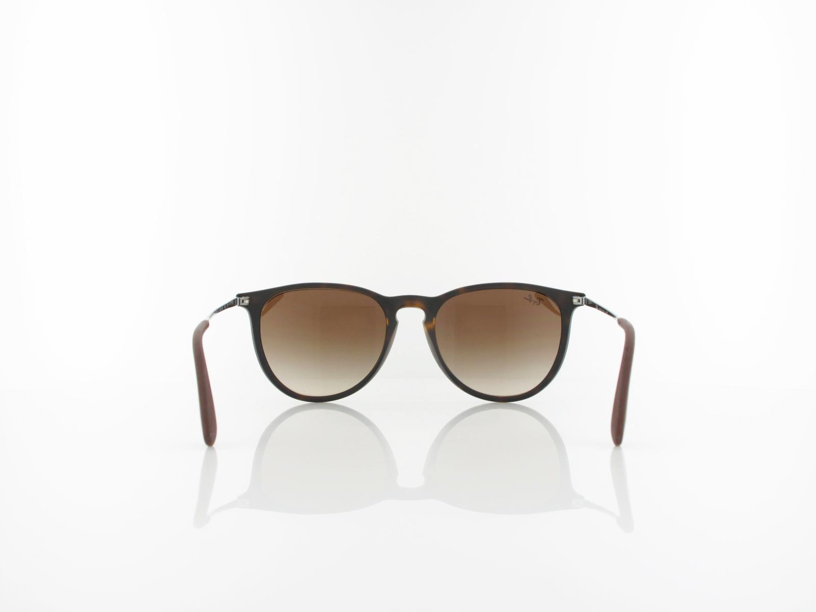 Ray Ban | Erika RB4171 865/13 54 | rubberized havana / brown gradient