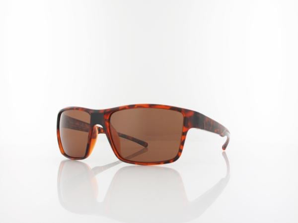 Red Bull SPECT | CHASE 04P 59 | havana / brown