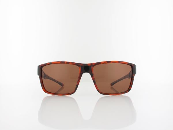 Red Bull SPECT | CHASE 04P 59 | havana / brown