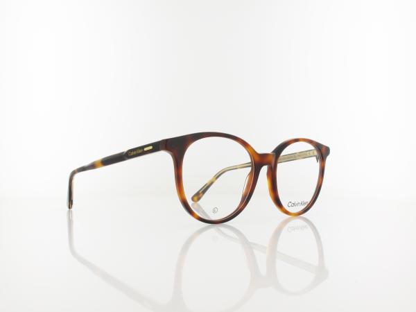 Calvin Klein | CK24543 240 52 | havana