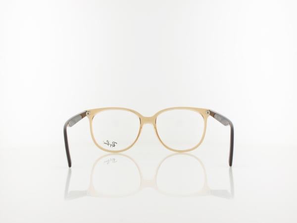 Ray Ban | RX4378V 8172 54 | transparent brown