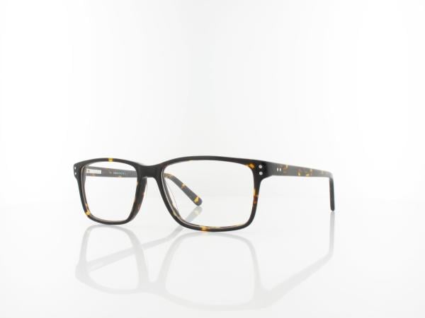Brilando | A85 A 53 | turtle