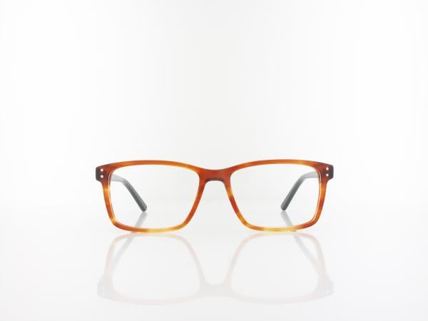 Brilando | A85 B 53 | brown