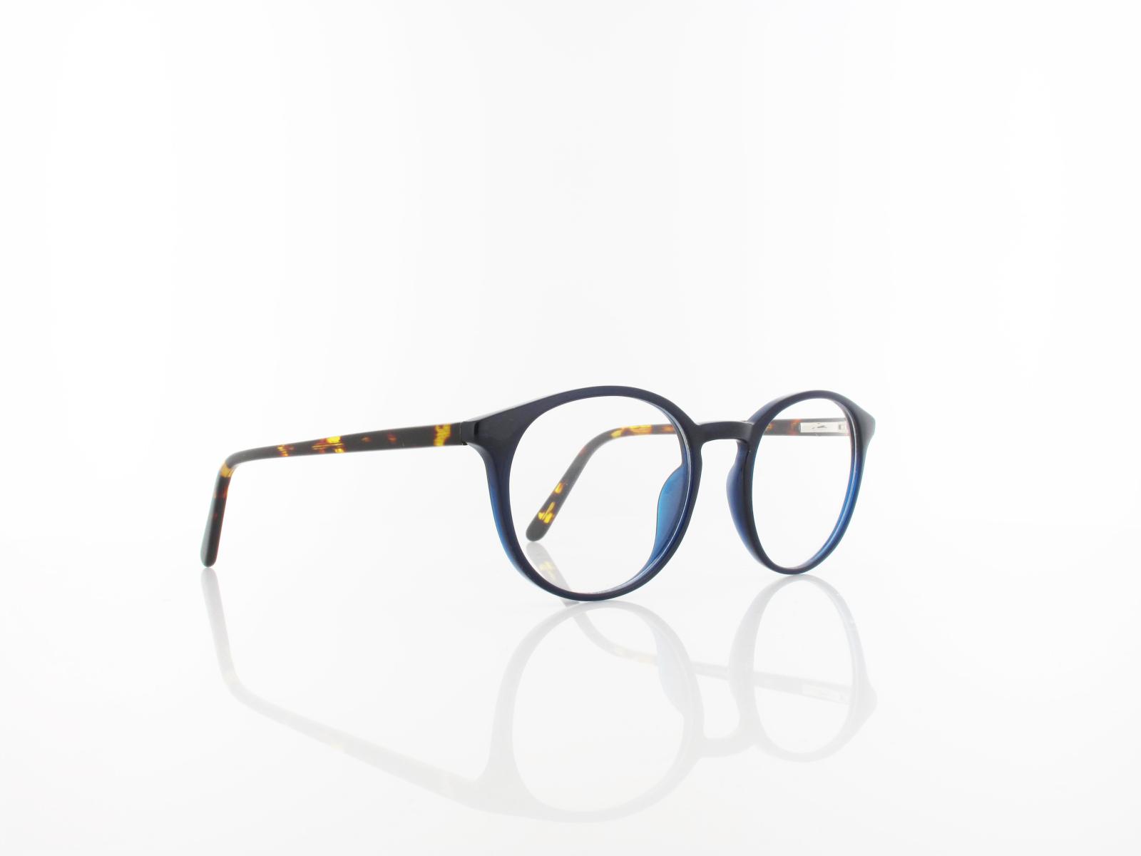 Brilando | AC13 D 49 | blue turtle