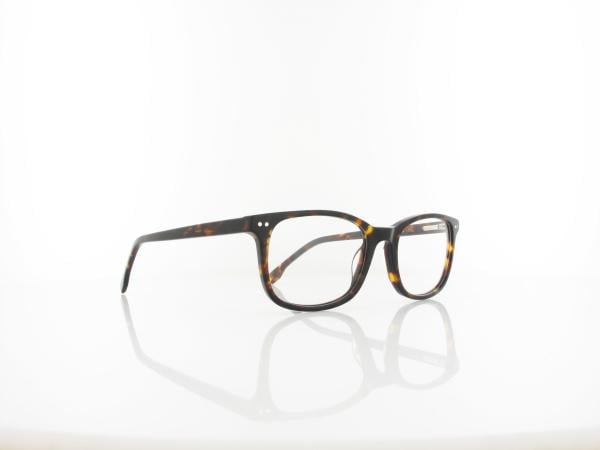 Brilando  | AC371 A 53 | turtle