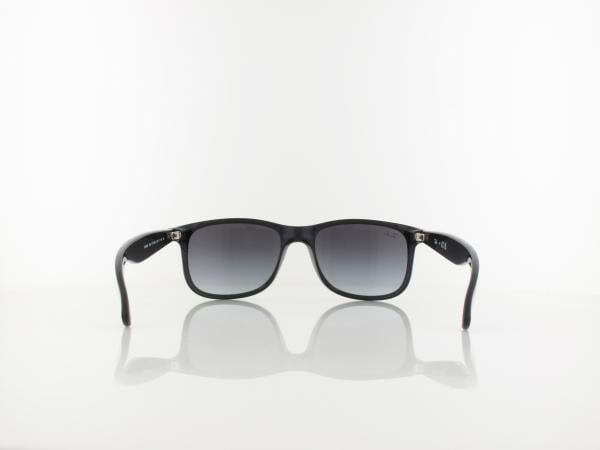 Ray Ban | Andy RB4202 6018G 55 | black / grey gradient