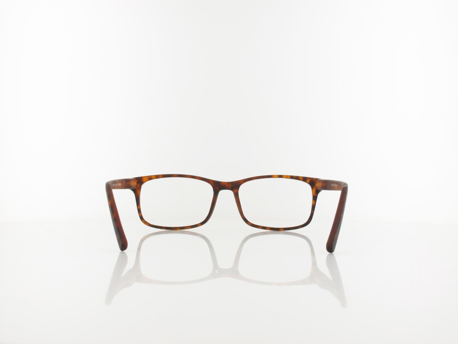 Brilando | HMR73A Fertiglesebrille | turtle | +1,00