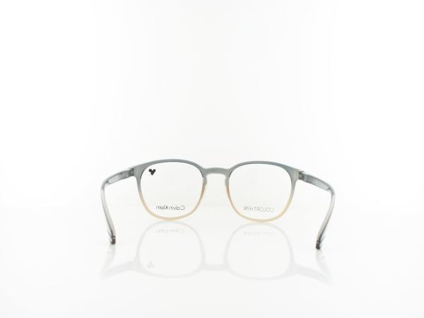 Calvin Klein | CK23527N 050 50 | grey coral gradient