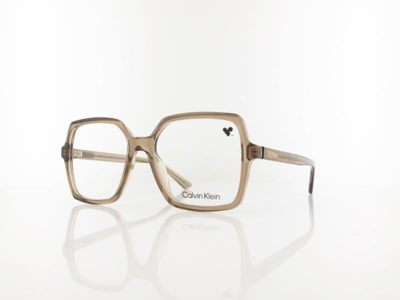 Calvin Klein | CK25547 200 54 | transparent brown