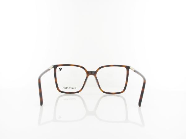 Calvin Klein | CK26518 240 54 | havana
