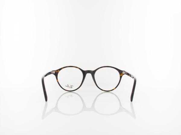Ray Ban | BERNARD RX5430 2012 49 | havana