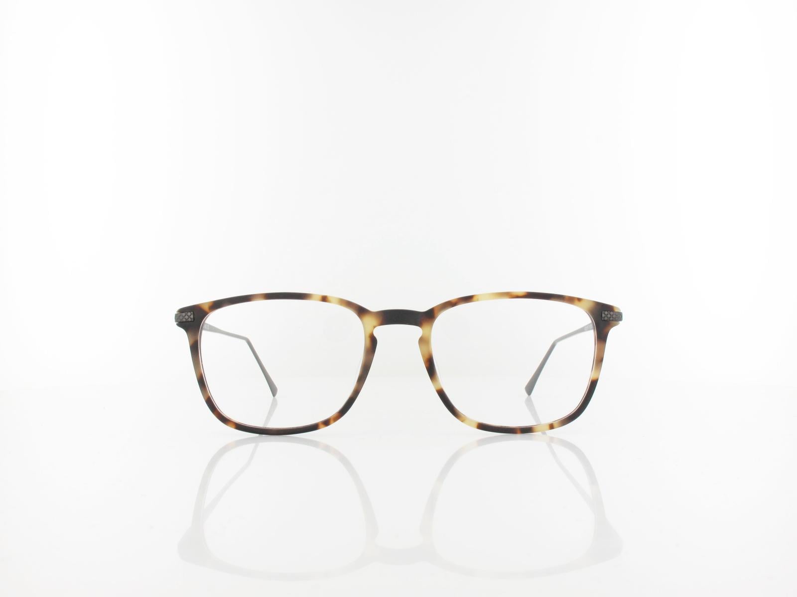 Brilando | AC41 F 52 | light turtle