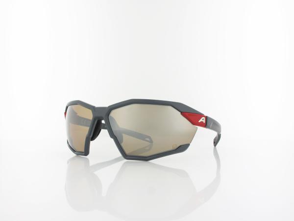 ALPINA | Twist Six Q POL A8726 521 70 | midnight-grey matt / silver mirror