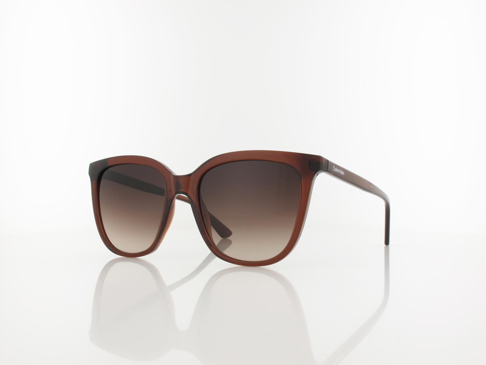 Calvin Klein | CK23506S 200 53 | brown / brown gradient
