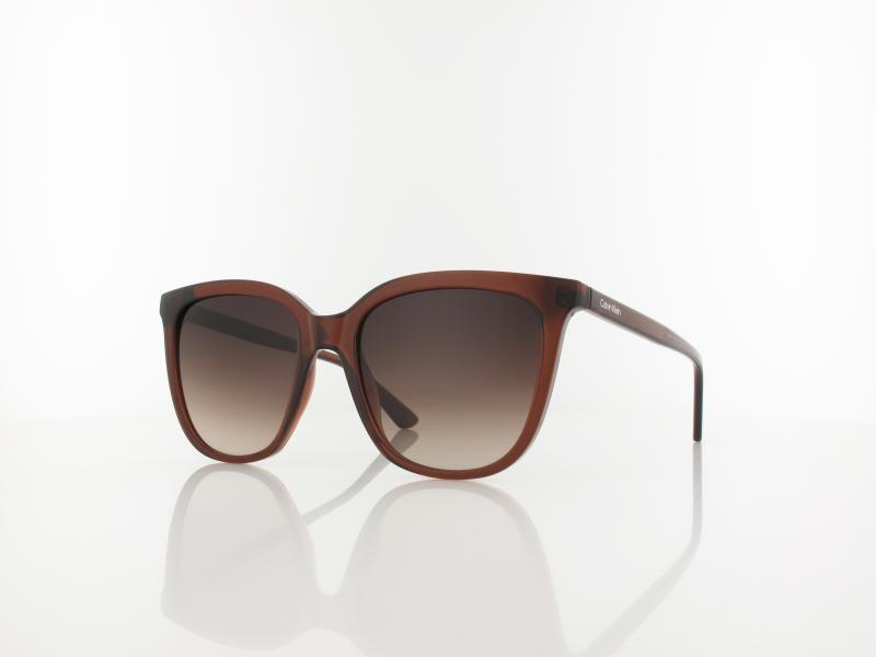 Calvin Klein | CK23506S 200 53 | brown / brown gradient