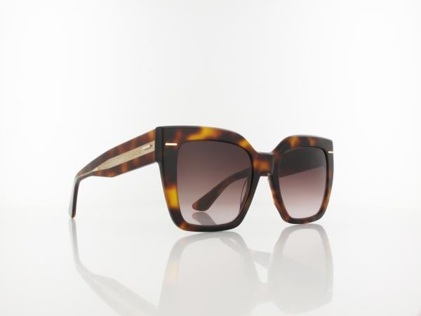 Calvin Klein | CK23508S 220 54 | brown havana / brown gradient