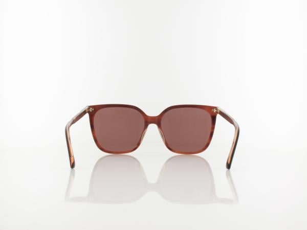 Calvin Klein | CK24509S 203 56 | striped brown/rose / brown