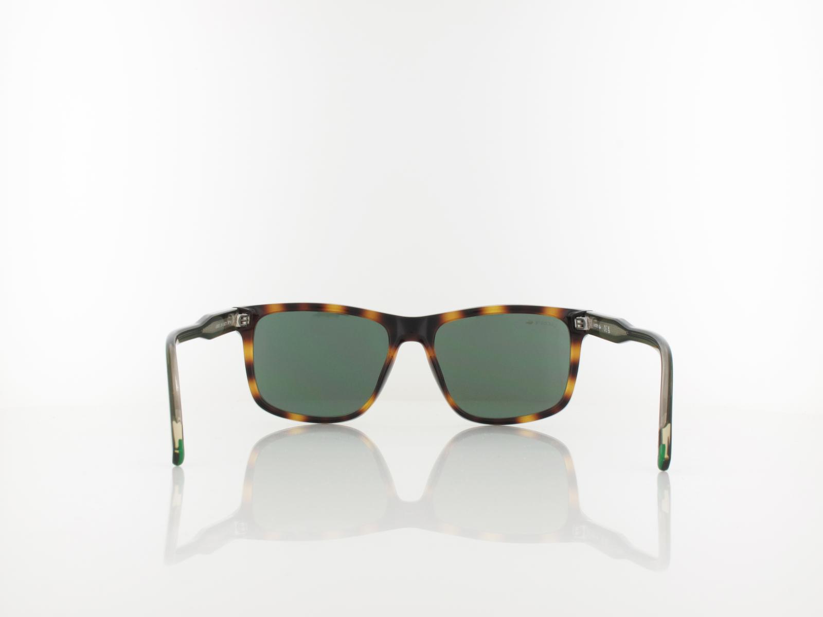 Lacoste | L6025S 214 56 | havana / green