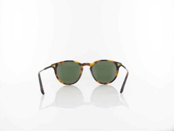 Polo Ralph Lauren | PH4239U 500371 50 | shiny red havana / dark green