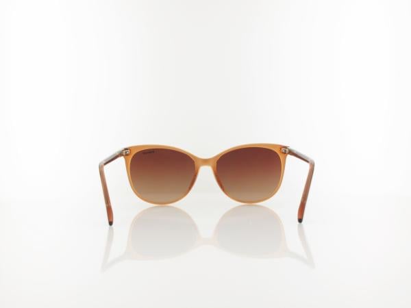 Polaroid | PLD 4200/S/X HAM/LA 56 | champagne / brown gradient polarized