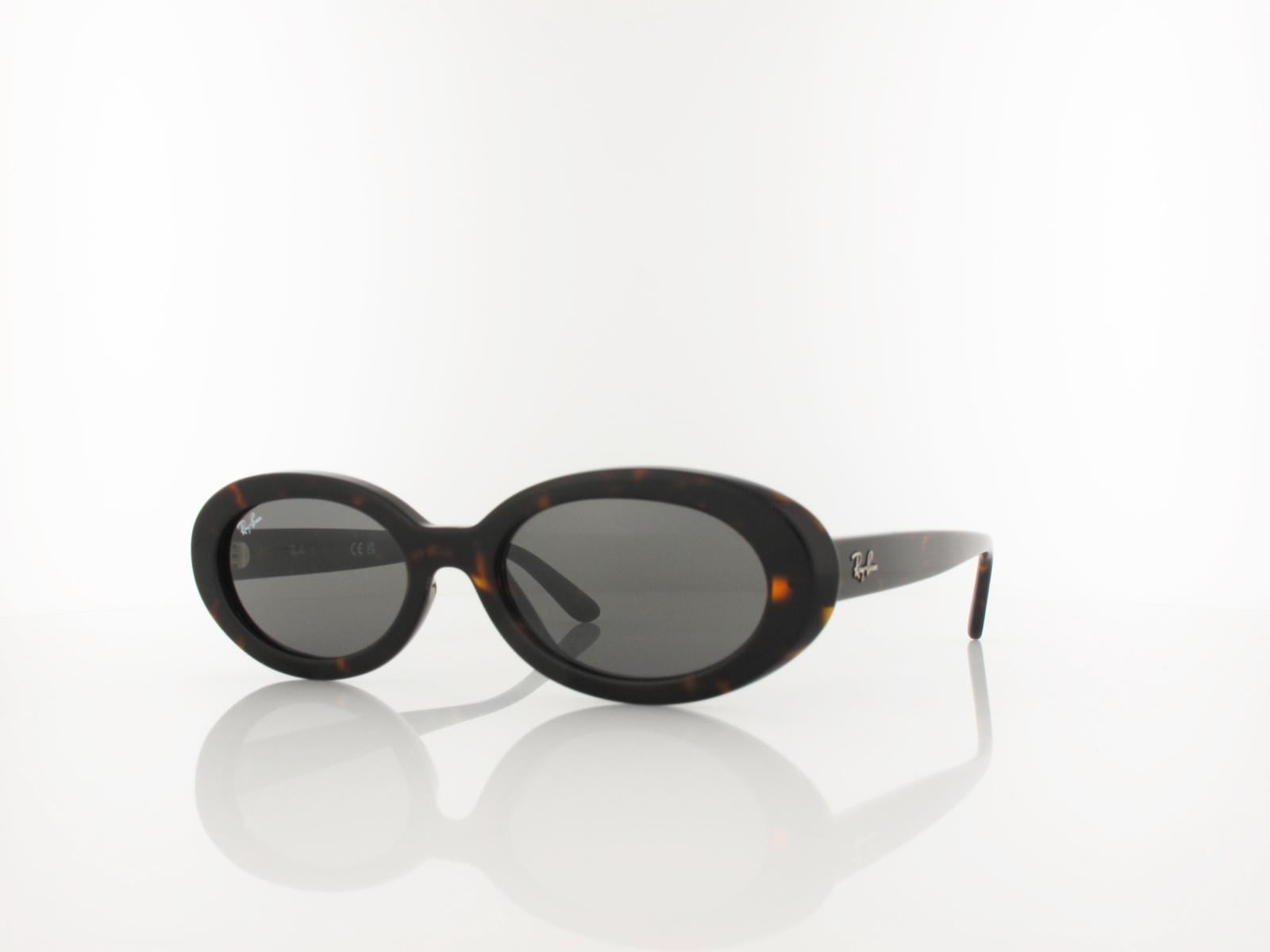 Ray Ban | RB2223 902/B1 54 | havana / dark grey