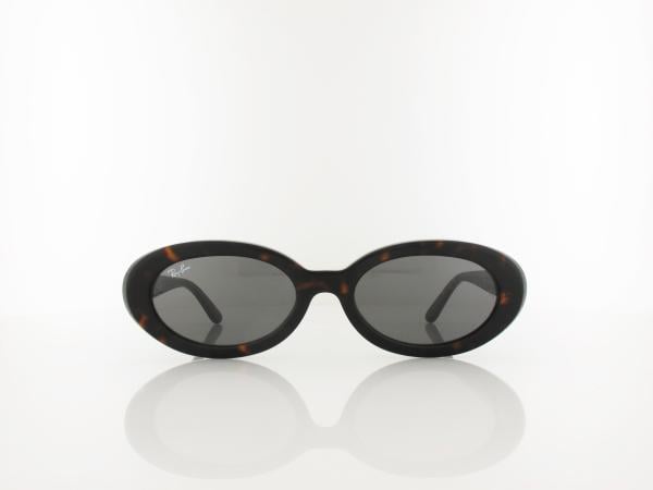 Ray Ban | RB2223 902/B1 54 | havana / dark grey
