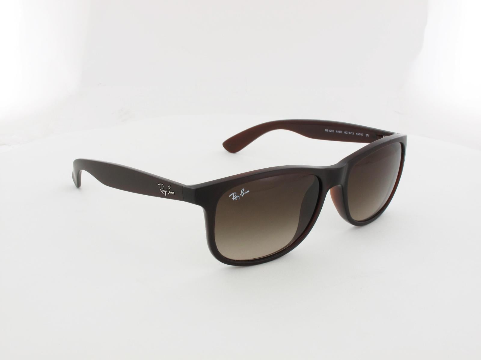 Ray Ban | Andy RB4202 607313 55 | matte brown / brown gradient