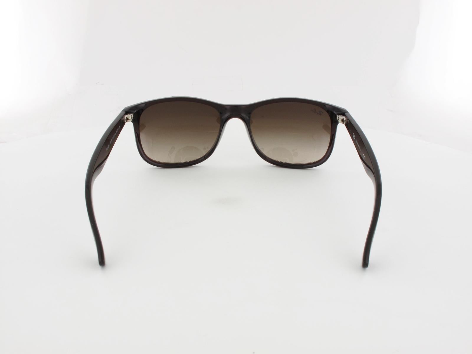 Ray Ban | Andy RB4202 607313 55 | matte brown / brown gradient