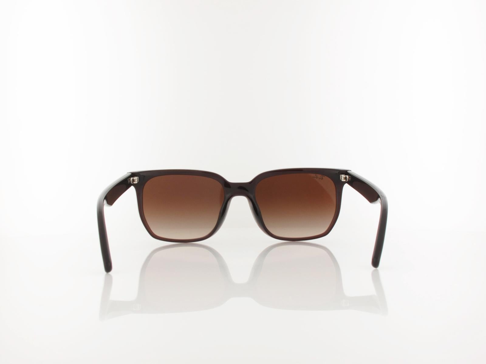 Ray Ban | RB4466D 714/13  | transparent dark brown / brown gradient